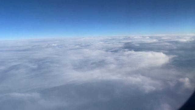 Летим в Калининград. Аэропорт Пулково. Прогулка по новогоднему Кенигсбергу. смотреть онлайн