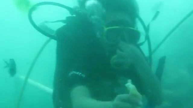 26.05.2012 Bali Tanjung Benoa Scuba Diving III смотреть онлайн