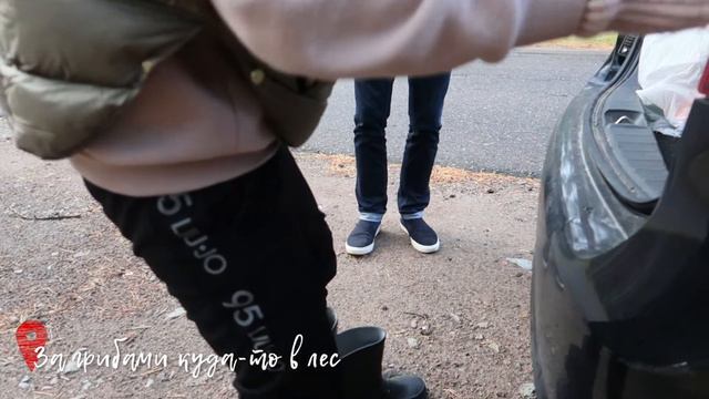 д э й л и с т и . смотреть онлайн