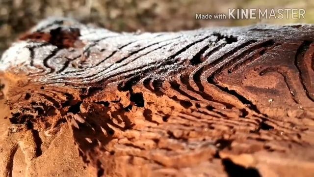 Я твоя Душа... смотреть онлайн