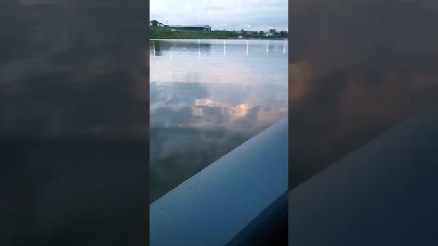 Лодка Пеликан 280т с мотором Байкал 3л.с смотреть онлайн