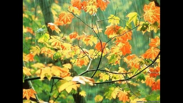 Мелодия осени смотреть онлайн