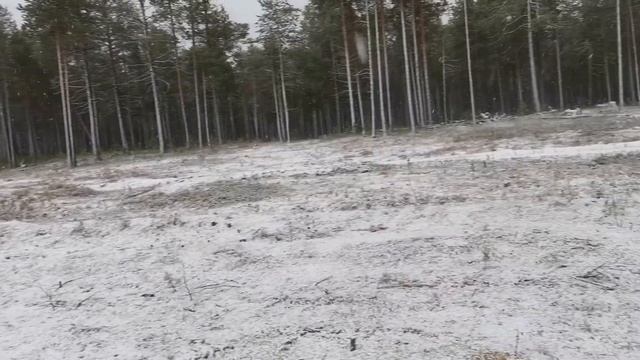 Начало зимы смотреть онлайн