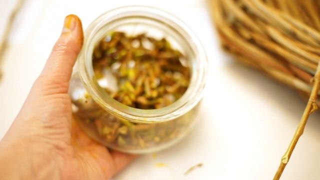 Почки тополя смотреть онлайн