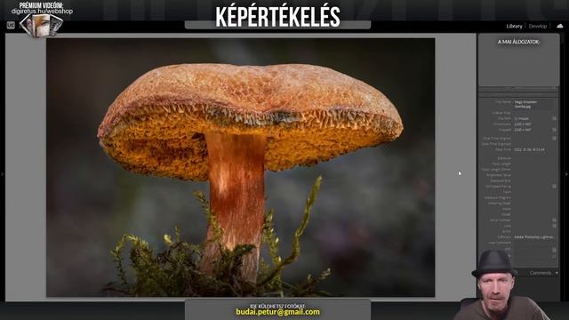 (ÉLŐ!) Így fotóztok ti - Képértékelés (#167.) смотреть онлайн