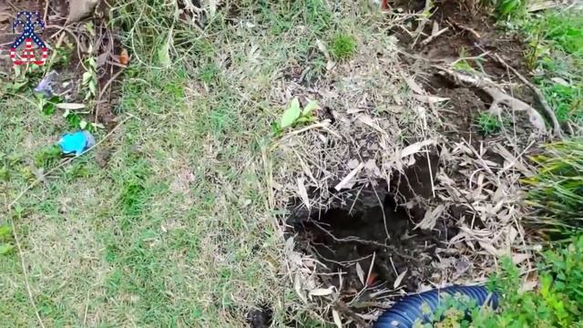 How To Clear The "ROOTS" Of All Evil смотреть онлайн