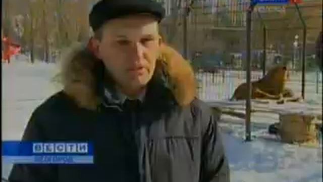 gtrk17-03.avi смотреть онлайн