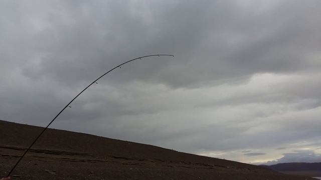 Рыба Осман смотреть онлайн