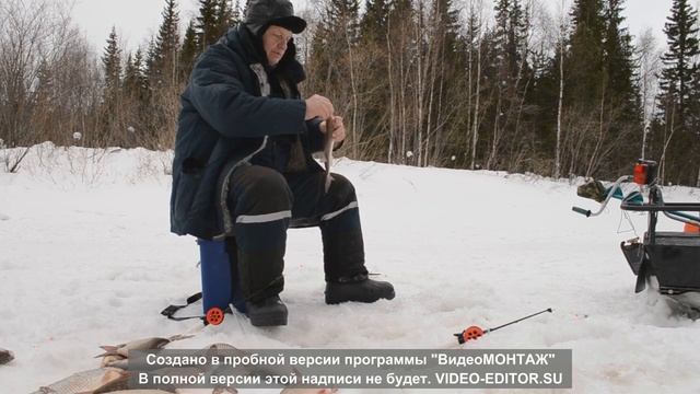 Рыбалка на слиянии рек Чукусамаль и Вынгапур смотреть онлайн