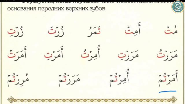 Муаллим сани | урок №6, буква 'та' - ت смотреть онлайн