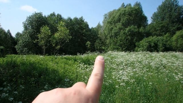 Фотолетопись: Лядихово смотреть онлайн