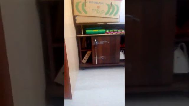 Незнайка смотреть онлайн