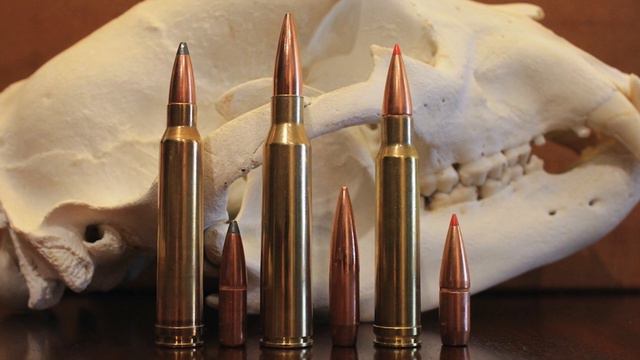 338 Lapua vs 300 Win Mag vs 338 Win Mag: What's Best For You? смотреть онлайн