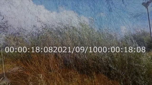 "Brisa" Iván Salgado смотреть онлайн