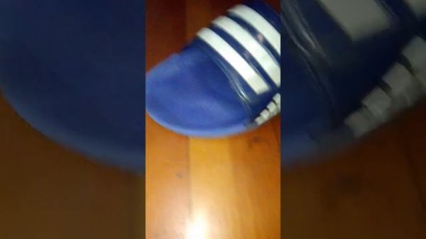 SEASON 3 ANNOUNCEMENT OF SLIPPER SIBLINGS