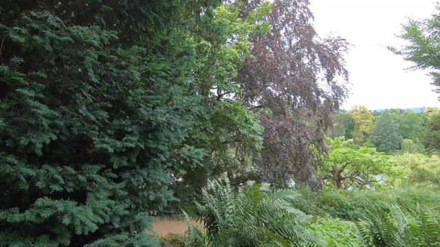 VLOG: Куда поехать из Франкфурта? Бранч в Bad Homburg! смотреть онлайн