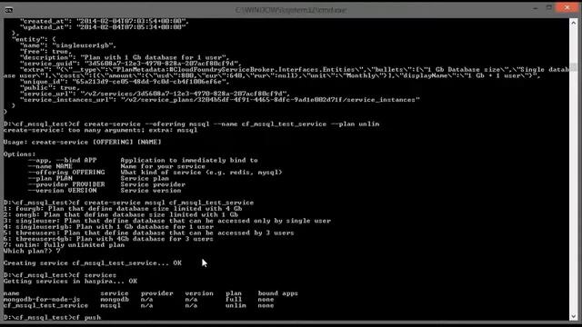MS SQL Server on Cloud Foundry v 2 Demo смотреть онлайн