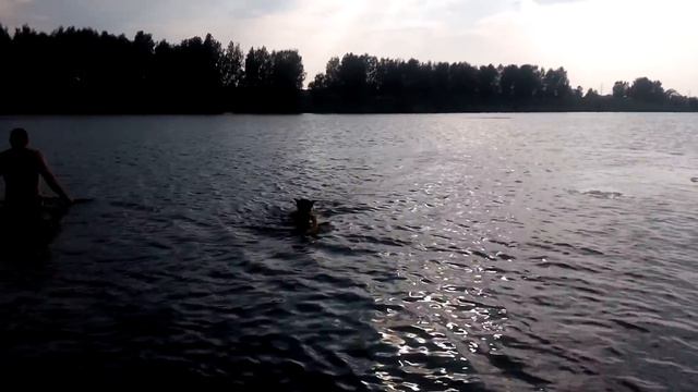 ВИНС ПЛЫВЁТ ! смотреть онлайн