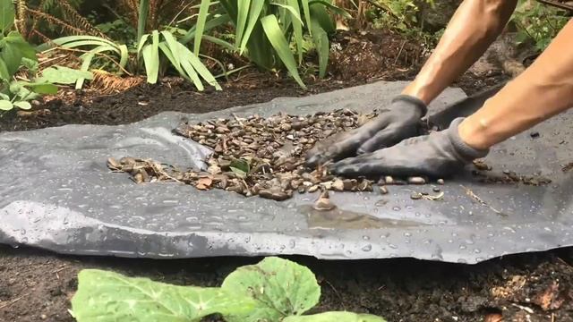 Огород без полива