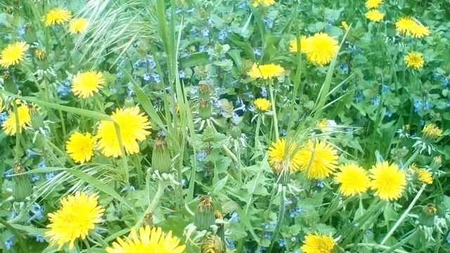 Христианские стихи с очень глубоким смыслом смотреть онлайн