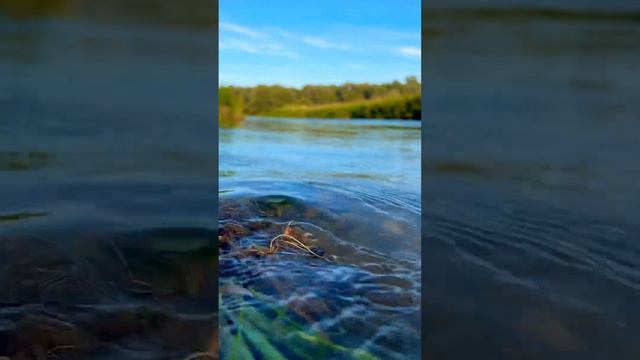 Катунь // течение реки // видео для расслабления #asmr #лето #река смотреть онлайн