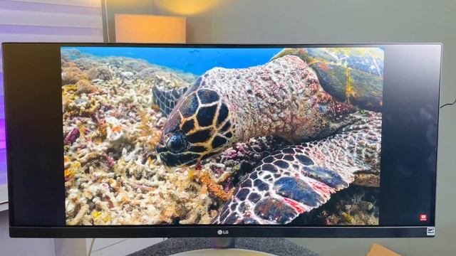 LG UltraWide 29 inch Monitor (29WQ600) Unboxing & Review | Budget Monitor for Editing & Gaming 100H смотреть онлайн