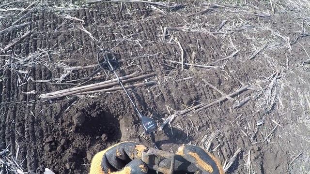 Поиск находок на старом урочище дал классные монеты и крестьянскую сережку правда с утратами смотреть онлайн