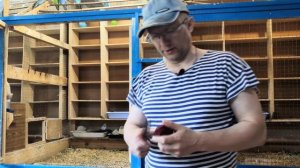 Разведение попугаев волнистых.Начало сезона.