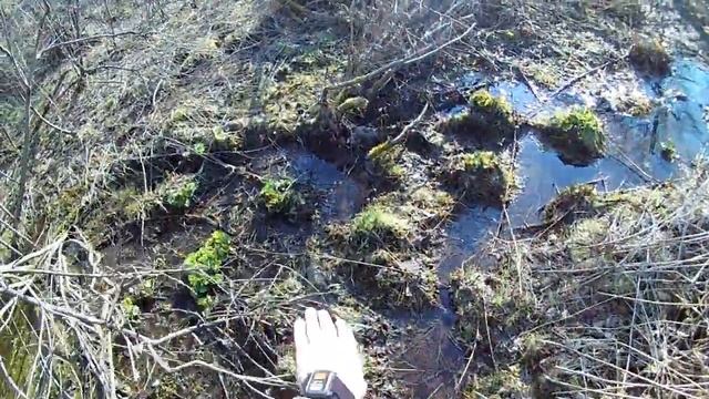 Неудачный поход за колбой / черемшой смотреть онлайн