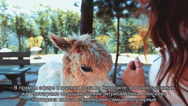 Читатели Леди.Mail.ru выбрали лучших блогеров 2020 смотреть онлайн