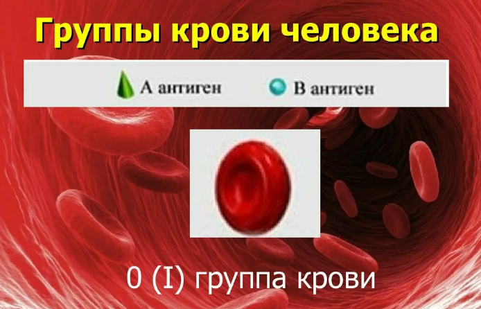 Что нумерология может сказать о первой группе крови.mp4 смотреть онлайн