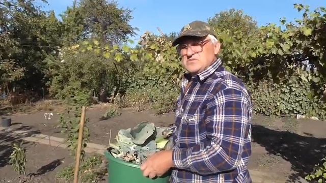 ВРЕМЯ СБОРА КАПУСТЫ и уборки капустных грядок смотреть онлайн