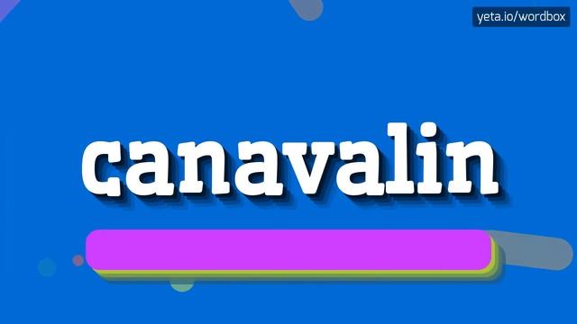 CANAVALIN - HOW TO SAY CANAVALIN? #canavalin