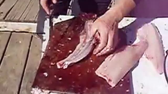Как почистить щуку смотреть онлайн