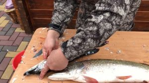 Обзор рыбацкого ножа Осетр на разделке рыбы. Ножевая Мастерская Династия Knife