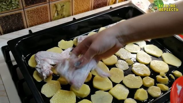 Здоровый Образ Жизни в Движении