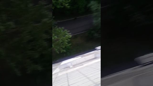 Кв 77 курят и бросают сигареты из окна. смотреть онлайн