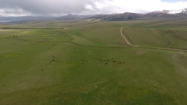 Плато Ассы 2018 смотреть онлайн