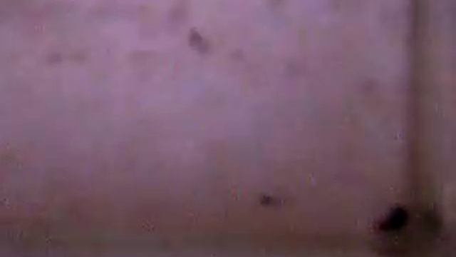 Недельный малёк полиптеруса сенегальского смотреть онлайн