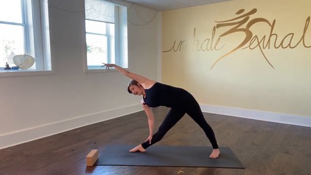 21DAY MOBILITY - DAY 18 WORKOUT: Lateral Line Mobility, Elasticity & Stability