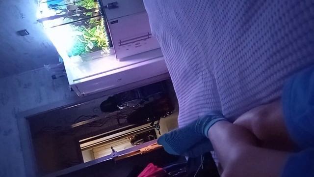 мартышка в стране чюдес 3 часть