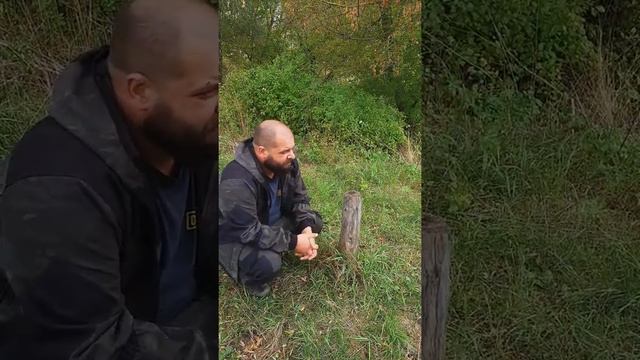 Не давайте бобрам грызть деревья смотреть онлайн