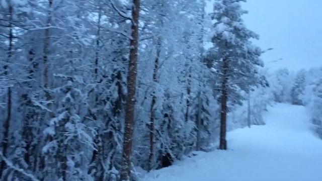 Лыжная прогулка смотреть онлайн