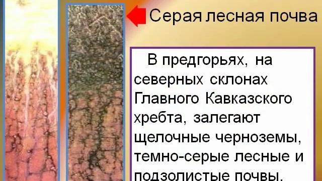Презентация на тему Почва Краснодарского края, значение для жизни растений и животных смотреть онлайн