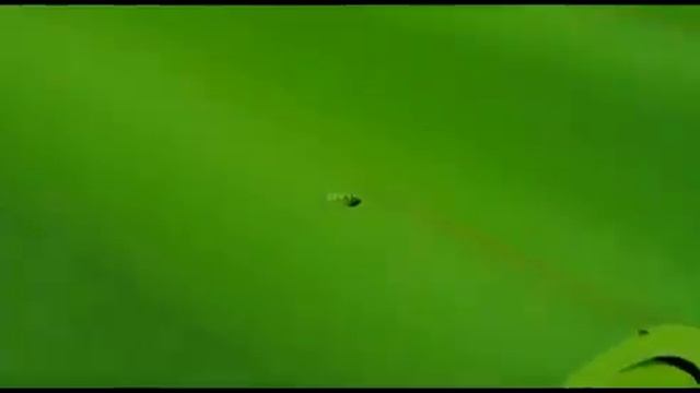 Домовенок Ремонтович