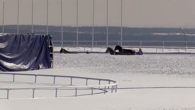 5 Марта 2021 2 Заезд Приз в честь Клары Цеткин смотреть онлайн