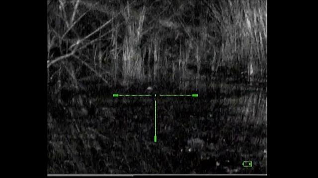 ОХОТА НА БОБРА #7 смотреть онлайн