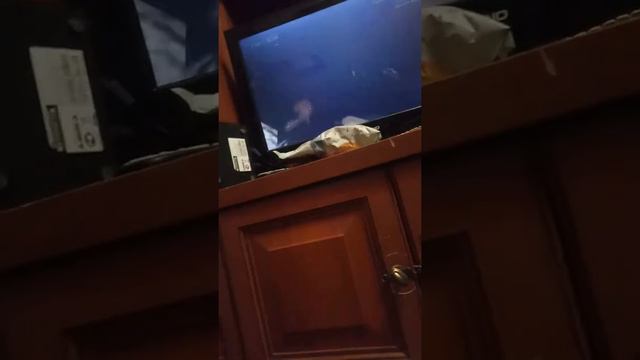 в гостях у друга，чтото пошло не так к другу пришла сестра смотреть онлайн