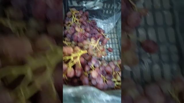 Виноград дамский палчик... смотреть онлайн