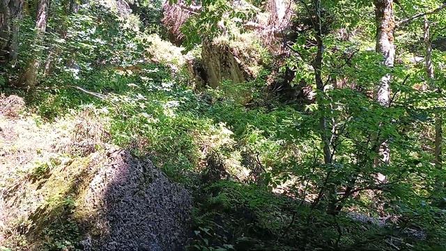 Яворова поляна июль 2023 г. смотреть онлайн